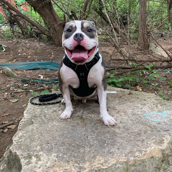 Meet your Posher, Alysa - Picture 3 of 3